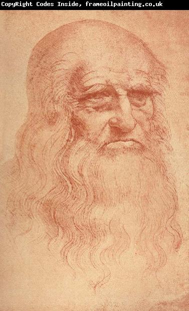 LEONARDO da Vinci Self Portrait